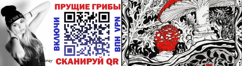 Псилоцибиновые грибы Cubensis  нарко площадка официальный сайт  Кимовск 